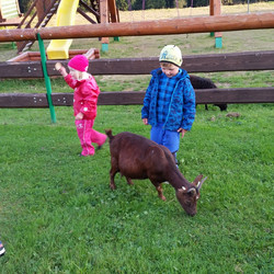 2016-09-24 18.00.50.jpg