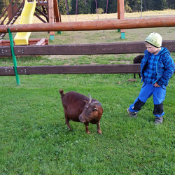 2016-09-24 18.00.58.jpg