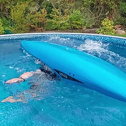 Zpomaleny_eskymak.mp4