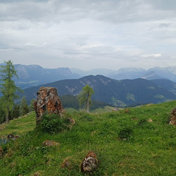 IMG_0045.JPG