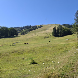 IMG_0003.JPG