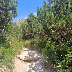 IMG_0020.JPG